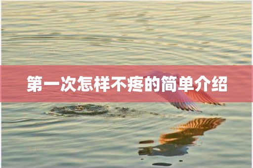 第一次怎样不疼的简单介绍