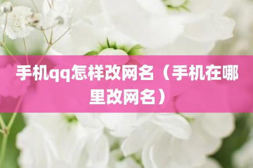 手机qq怎样改网名（手机在哪里改网名）