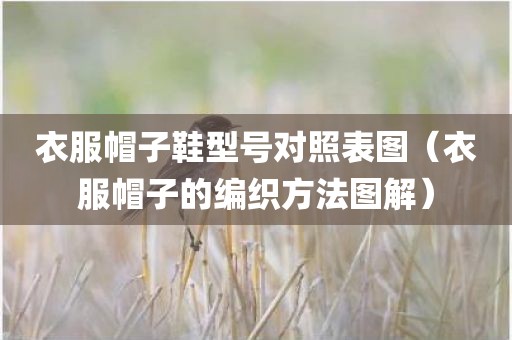 衣服帽子鞋型号对照表图（衣服帽子的编织方法图解）