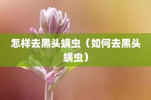 怎样去黑头螨虫（如何去黑头螨虫）
