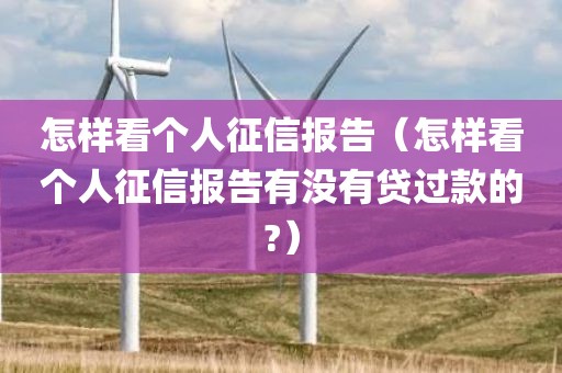 怎样看个人征信报告（怎样看个人征信报告有没有贷过款的?）