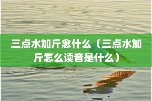 三点水加斤念什么（三点水加斤怎么读音是什么）