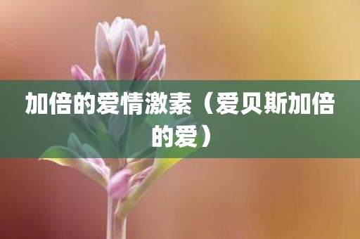 加倍的爱情激素(爱贝斯加倍的爱)