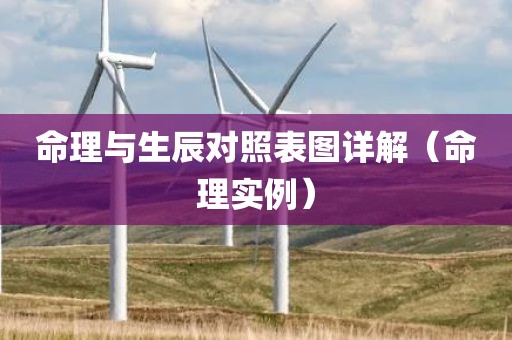 命理与生辰对照表图详解（命理实例）