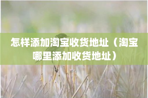 怎样添加淘宝收货地址(淘宝哪里添加收货地址)