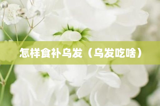 怎样食补乌发（乌发吃啥）