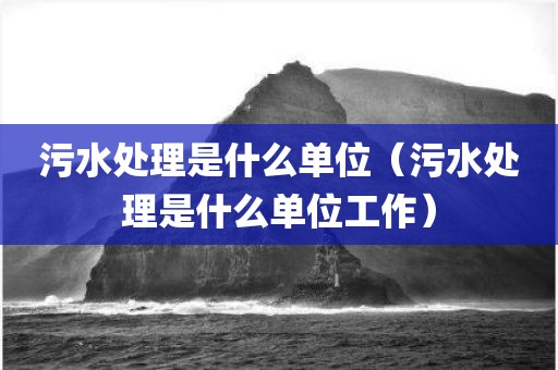 污水处理是什么单位(污水处理是什么单位工作)