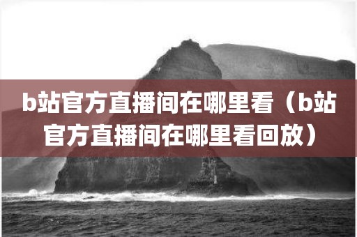 b站官方直播间在哪里看（b站官方直播间在哪里看回放）