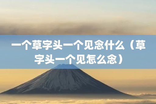 一个草字头一个见念什么（草字头一个见怎么念）
