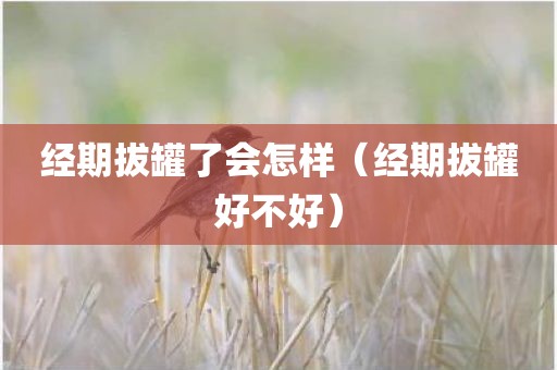 经期拔罐了会怎样（经期拔罐好不好）
