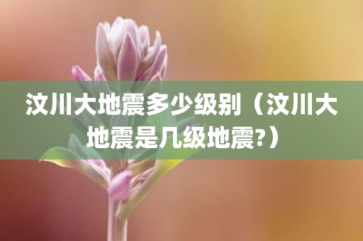 汶川大地震多少级别（汶川大地震是几级地震?）