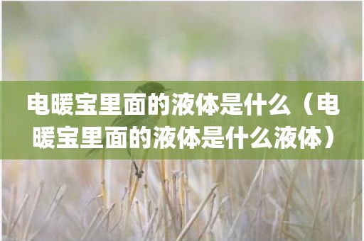 电暖宝里面的液体是什么(电暖宝里面的液体是什么液体)