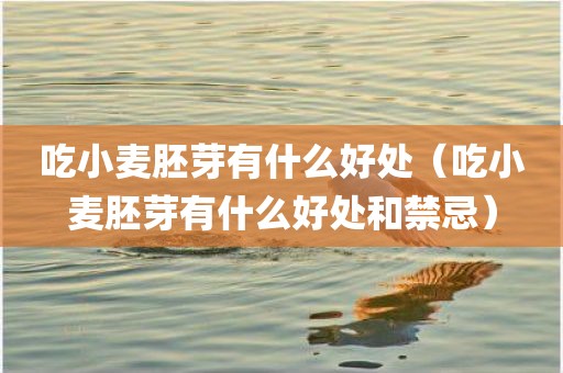 吃小麦胚芽有什么好处（吃小麦胚芽有什么好处和禁忌）
