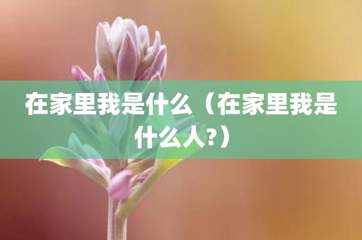 在家里我是什么（在家里我是什么人?）