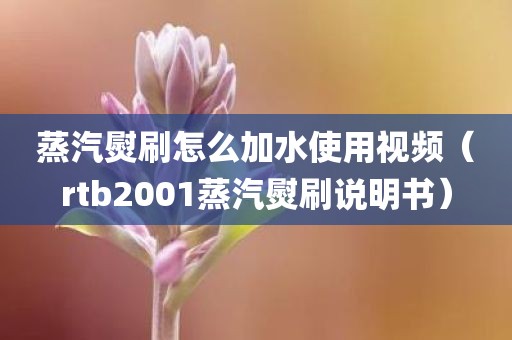 蒸汽熨刷怎么加水使用视频（rtb2001蒸汽熨刷说明书）
