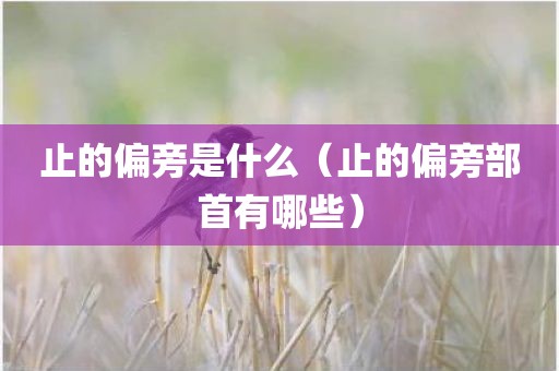 止的偏旁是什么（止的偏旁部首有哪些）