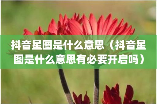 抖音星图是什么意思（抖音星图是什么意思有必要开启吗）