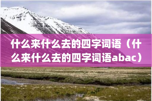 什么来什么去的四字词语（什么来什么去的四字词语abac）