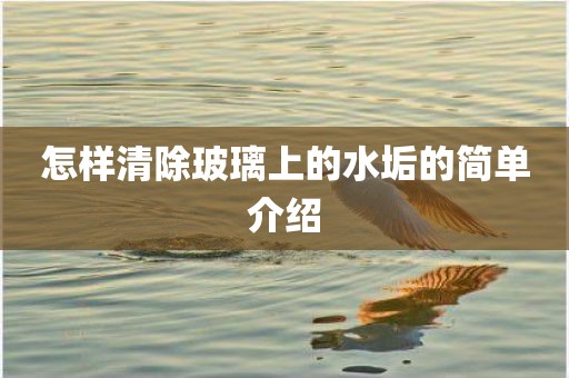怎样清除玻璃上的水垢的简单介绍