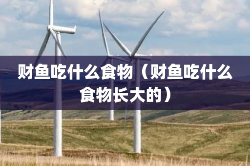 财鱼吃什么食物（财鱼吃什么食物长大的）
