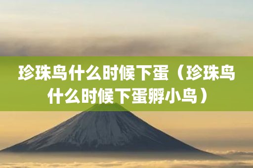 珍珠鸟什么时候下蛋（珍珠鸟什么时候下蛋孵小鸟）