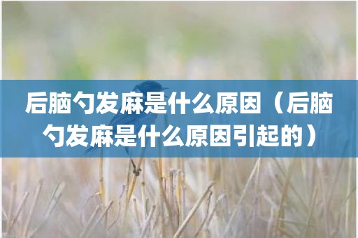 后脑勺发麻是什么原因（后脑勺发麻是什么原因引起的）