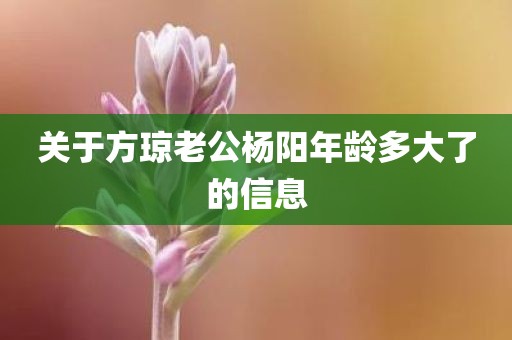 关于方琼老公杨阳年龄多大了的信息
