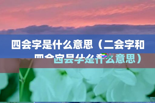 四会字是什么意思（二会字和四会字是什么意思）