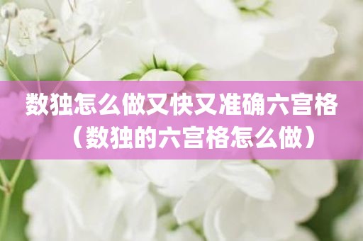 数独怎么做又快又准确六宫格（数独的六宫格怎么做）