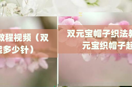 双元宝帽子织法教程视频（双元宝织帽子起多少针）