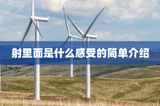 射里面是什么感受的简单介绍