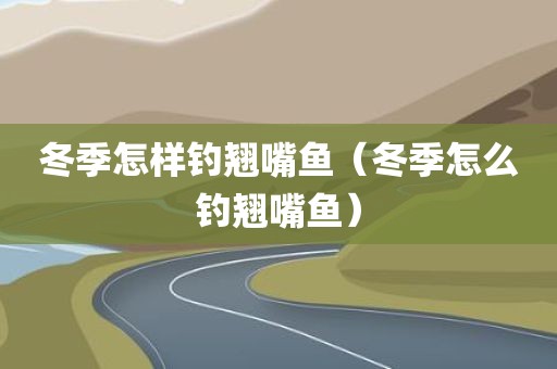 冬季怎样钓翘嘴鱼（冬季怎么钓翘嘴鱼）