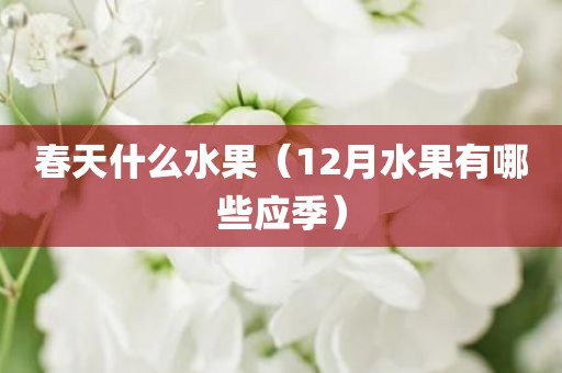 春天什么水果（12月水果有哪些应季）