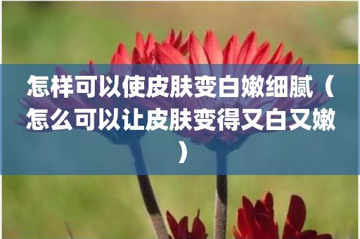 怎样可以使皮肤变白嫩细腻（怎么可以让皮肤变得又白又嫩）