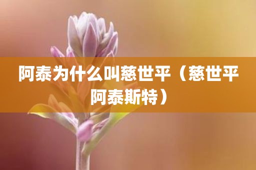 阿泰为什么叫慈世平（慈世平阿泰斯特）