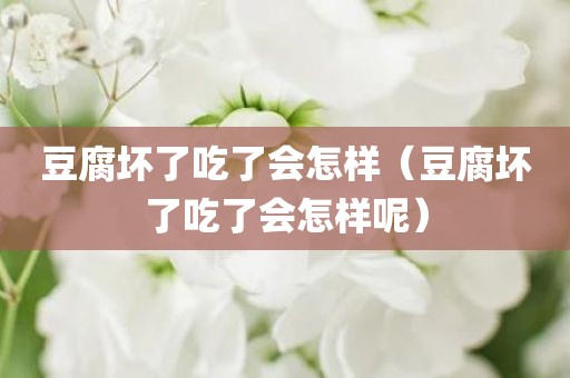 豆腐坏了吃了会怎样（豆腐坏了吃了会怎样呢）