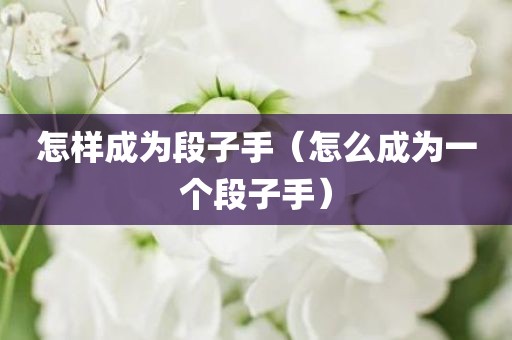 怎样成为段子手（怎么成为一个段子手）