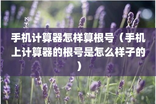 手机计算器怎样算根号(手机上计算器的根号是怎么样子的) 手机计算器怎样算根号(手机上计算器的根号是怎么样子的)