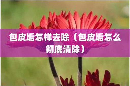 包皮垢怎样去除（包皮垢怎么彻底清除）