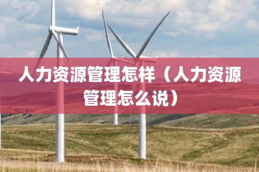 人力资源管理怎样（人力资源管理怎么说）