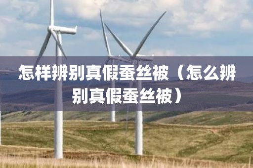 怎样辨别真假蚕丝被（怎么辨别真假蚕丝被）