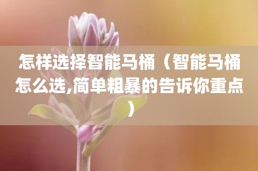怎样选择智能马桶（智能马桶怎么选,简单粗暴的告诉你重点）