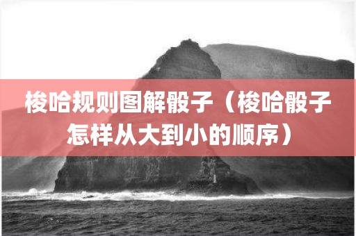 梭哈规则图解骰子（梭哈骰子怎样从大到小的顺序）