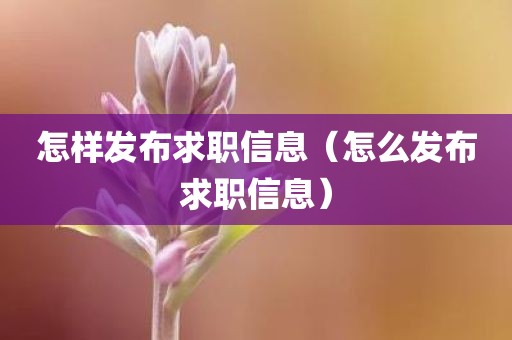 怎样发布求职信息（怎么发布求职信息）