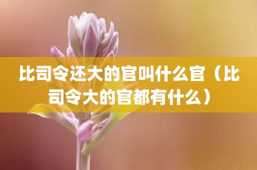 比司令还大的官叫什么官（比司令大的官都有什么）