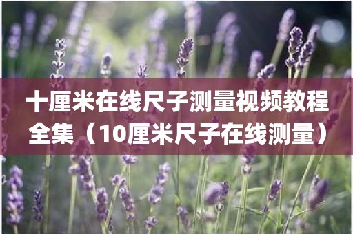 十厘米在线尺子测量视频教程全集（10厘米尺子在线测量）