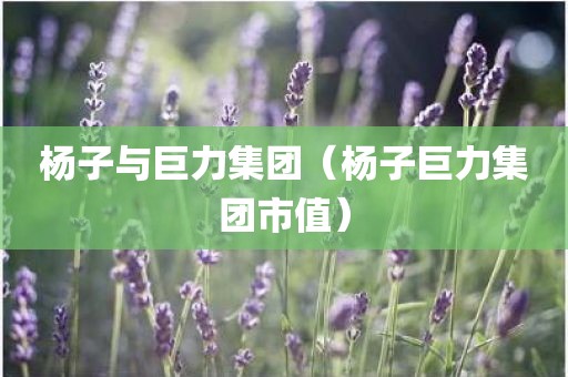 杨子与巨力集团（杨子巨力集团市值）