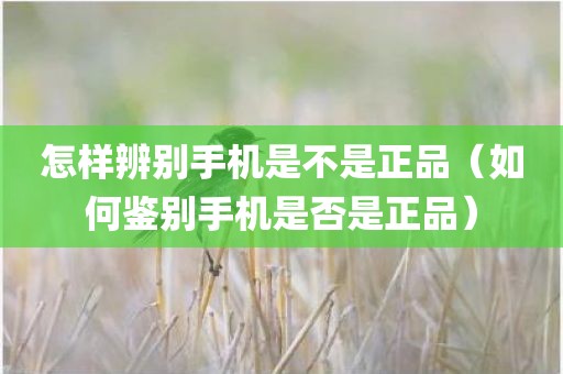 怎样辨别手机是不是正品（如何鉴别手机是否是正品）
