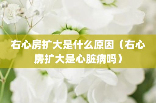 右心房扩大是什么原因（右心房扩大是心脏病吗）