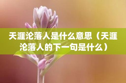天涯沦落人是什么意思（天涯沦落人的下一句是什么）